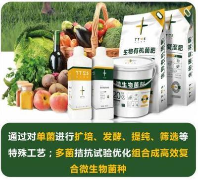 從辣椒加工到菌肥生產，她用五年搶占南方市場！_南方plus_南方+生物有機肥料研發